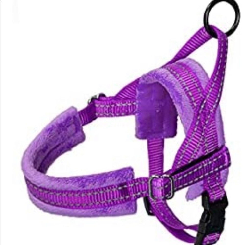 Purple Dog Harness